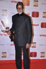 Amitabh Bachchan at Stardust Awards 2013 red carpet in Mumbai on 26th jan 2013 (321).JPG